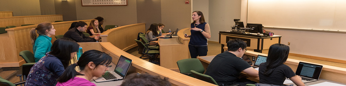 Undergraduate Degree Programs Undergraduate Degree Programs