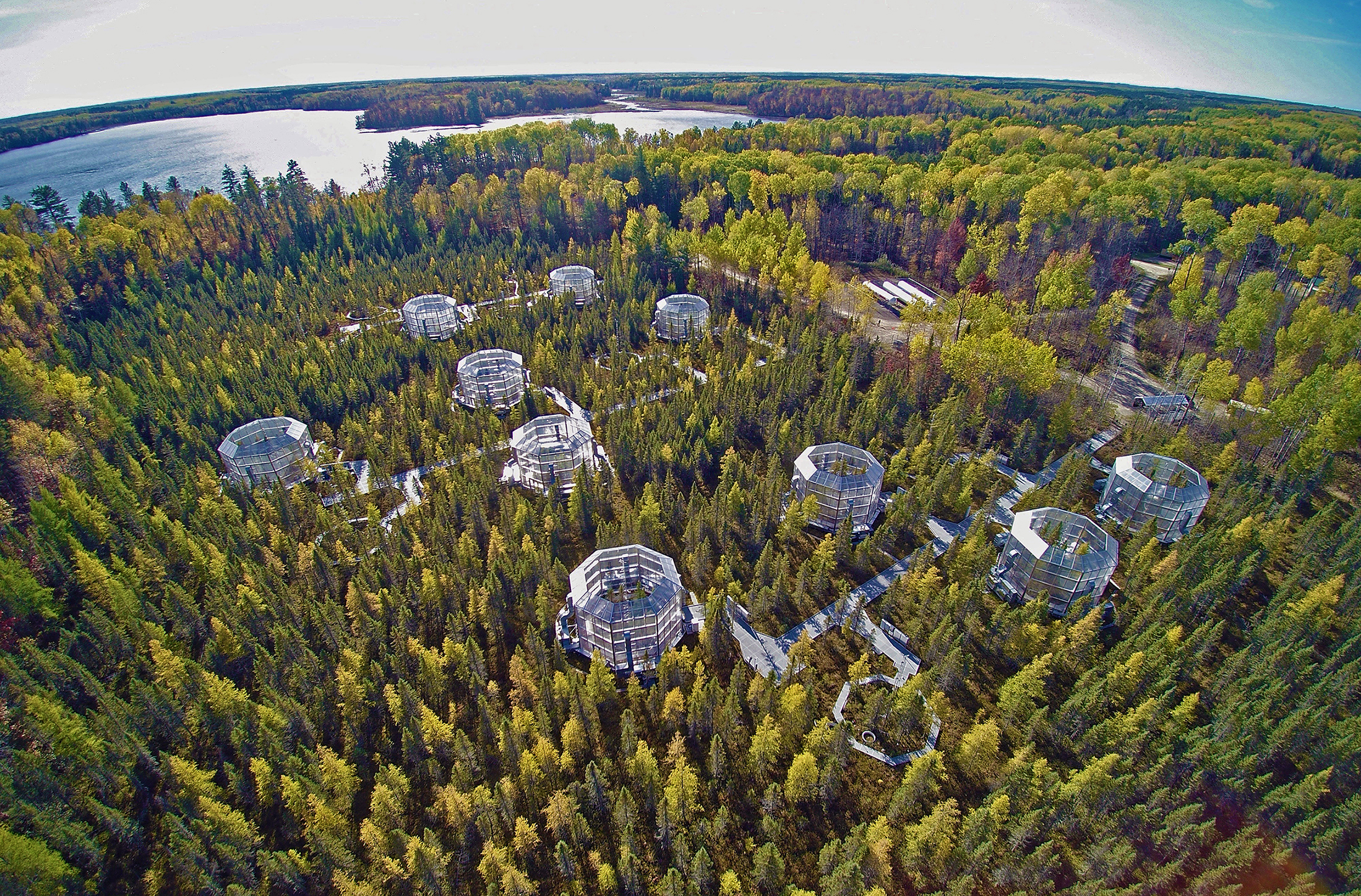 An aerial view of the SPRUCE enclosures.