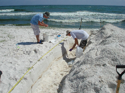 Jonathan Delgardio and Will Overholt of the Georgia Institute of Technology sample sand layers on 20 October 2010 at Pensacola Beach, Fla., which was heavily polluted by weathered oil after Deepwater Horizon discharge. Photo:Markus Huettel/Eos Magazine