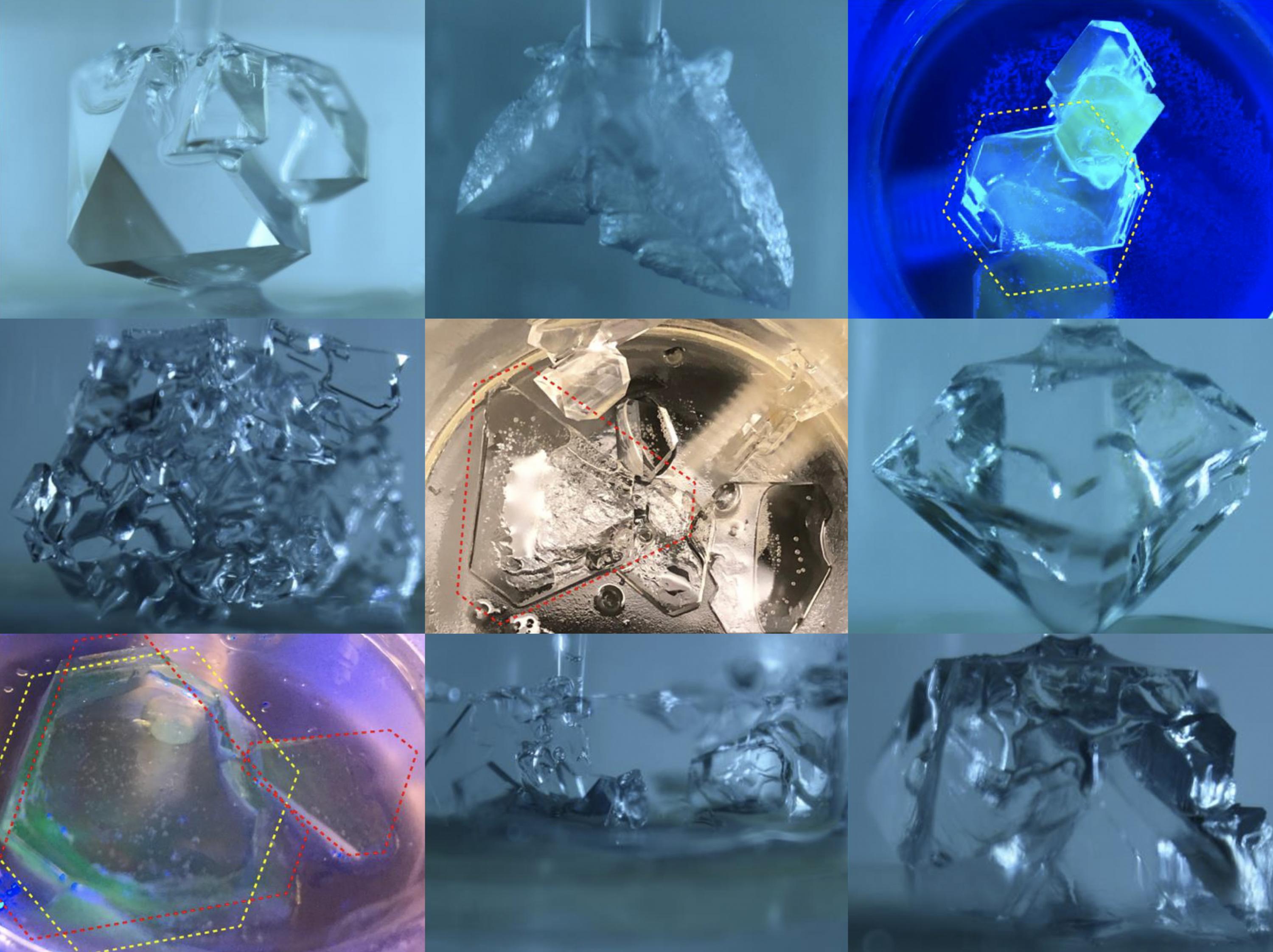 Clathrate crystals in various stages of growth, along with control treatments (top left, top middle samples).