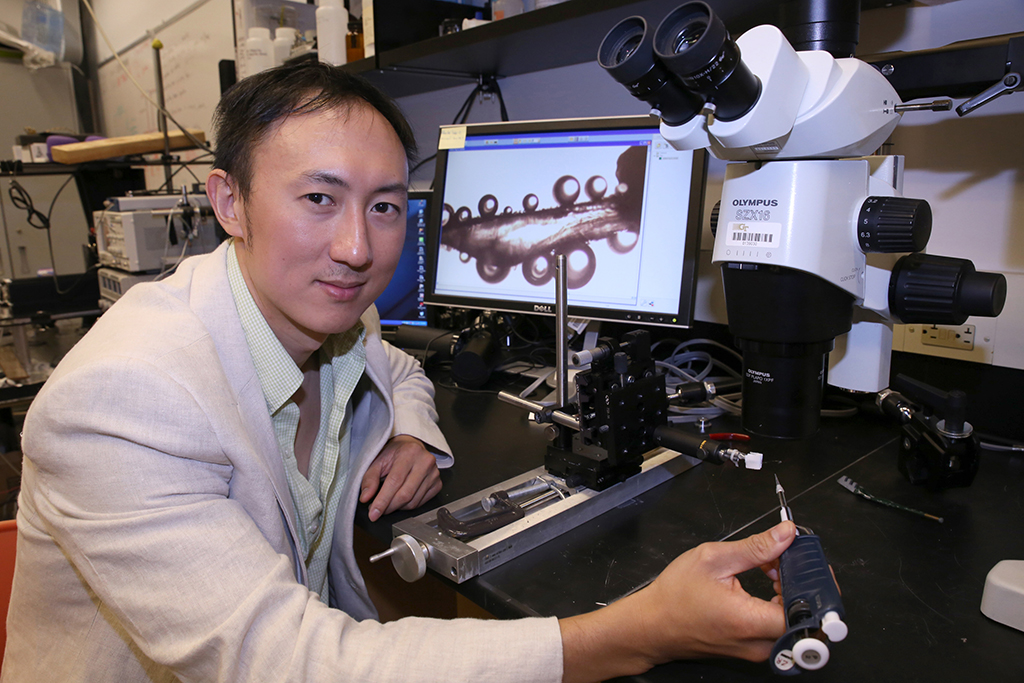 David Hu, professor in the School of Biological Sciences 