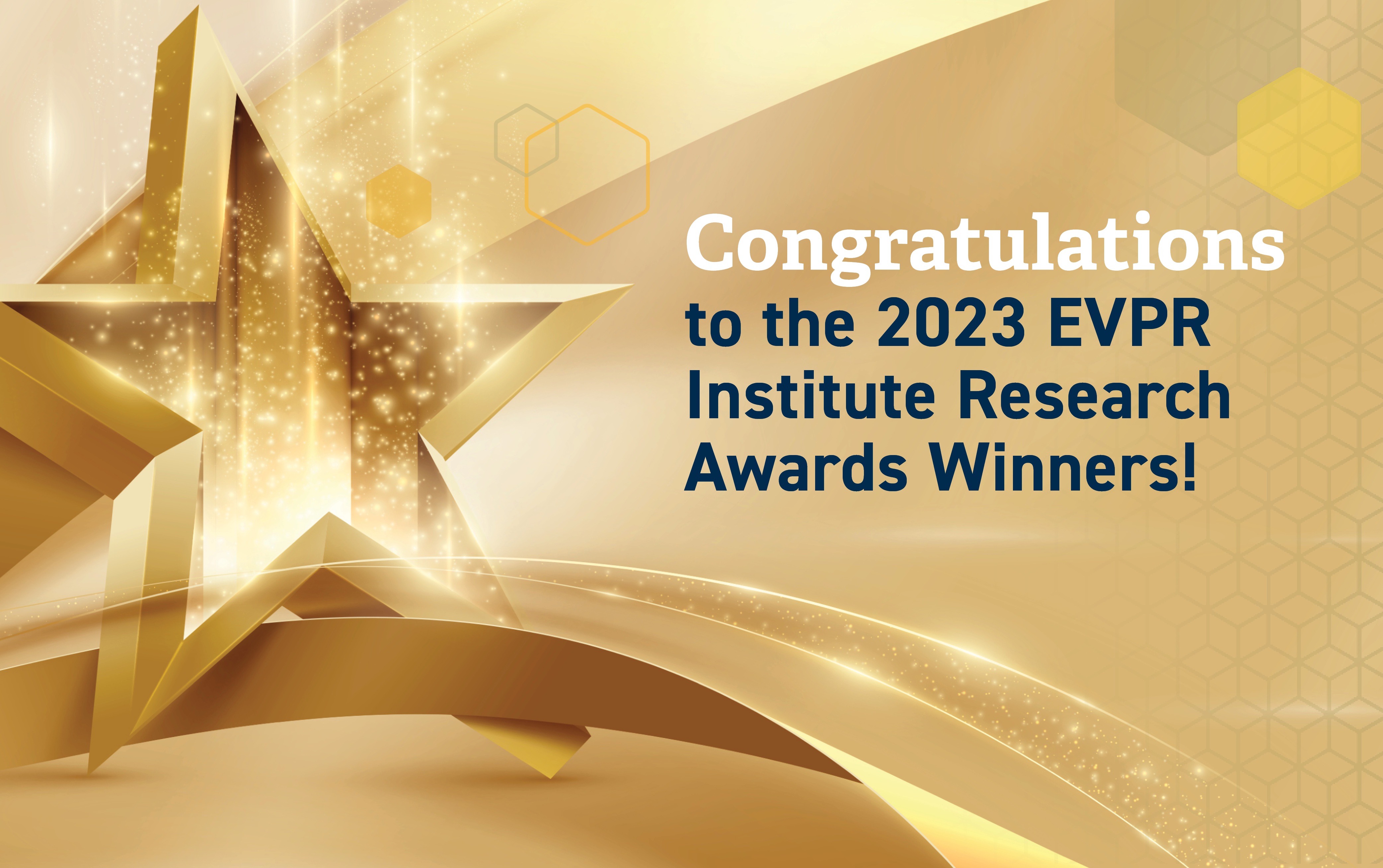 EVPR_Insitute_Research_Awards_V2[48].jpg