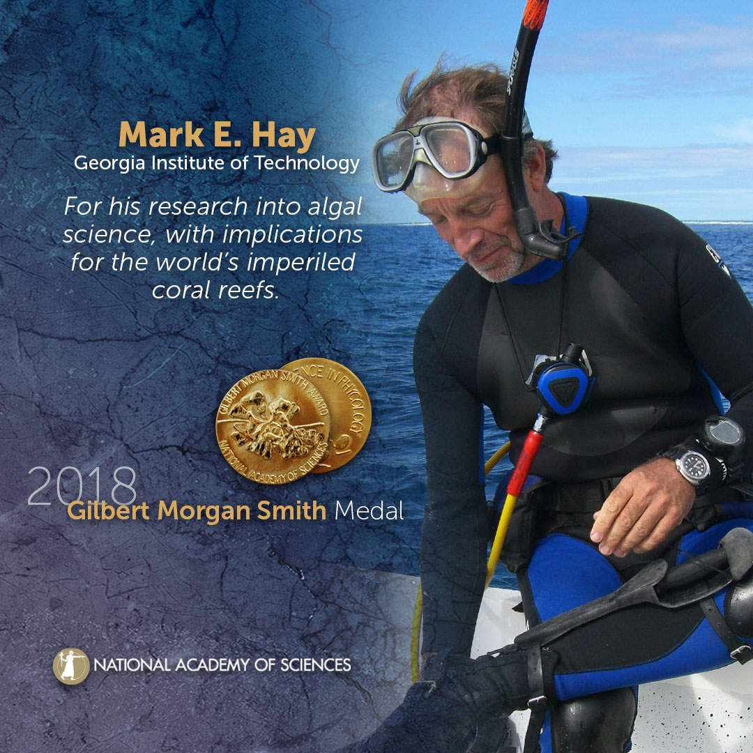 Mark Hay, Recipient of 2018 Gilbert Morgan Smith Medal (Courtesy of National Academy of Sciences)