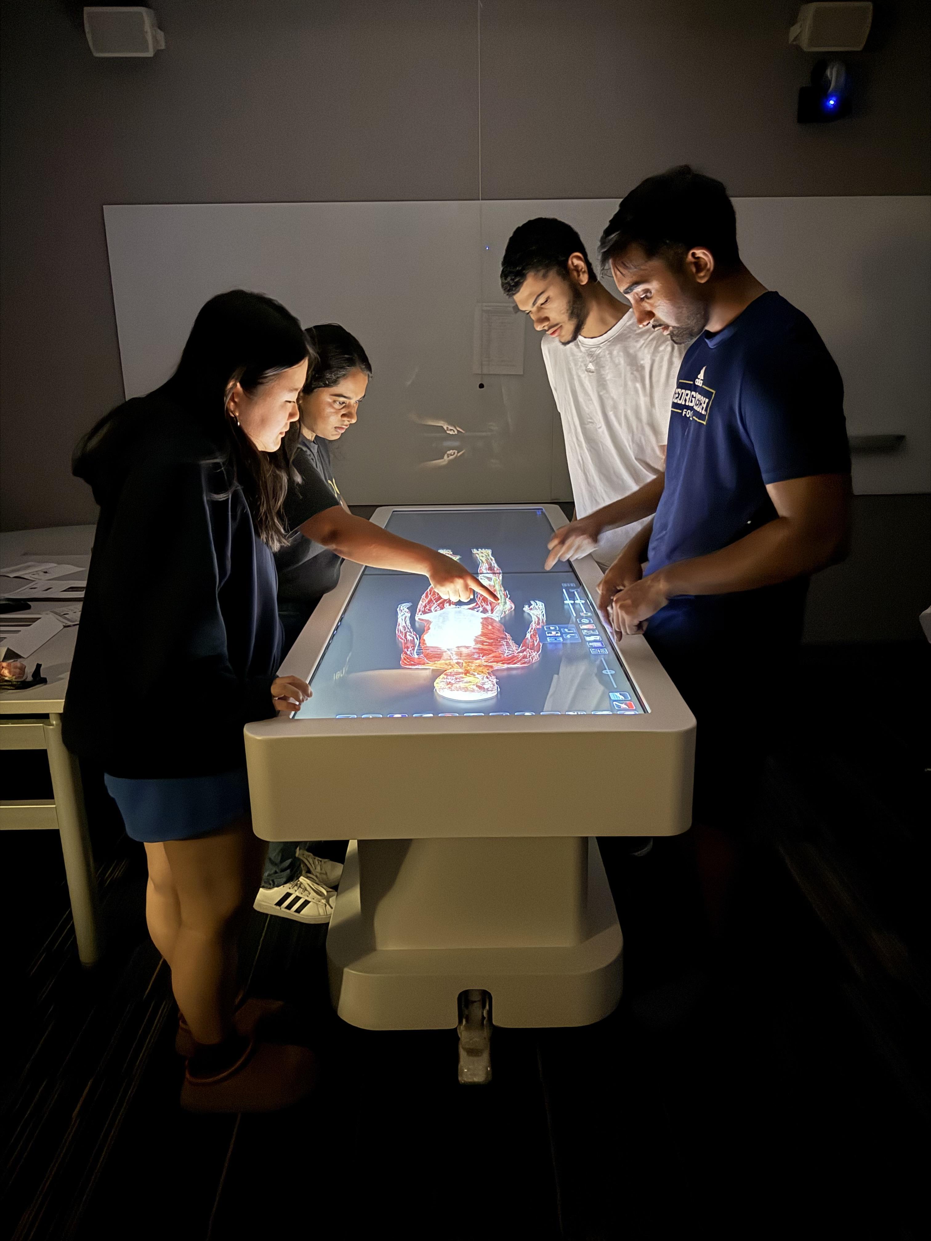 Preparing for careers in medicine, Yoojin Jeong (front left), Sameeha Lalani (back left), Yusuf Abdalla (back left),  and Rayhan Quraishi (front left), dive into digital anatomy.