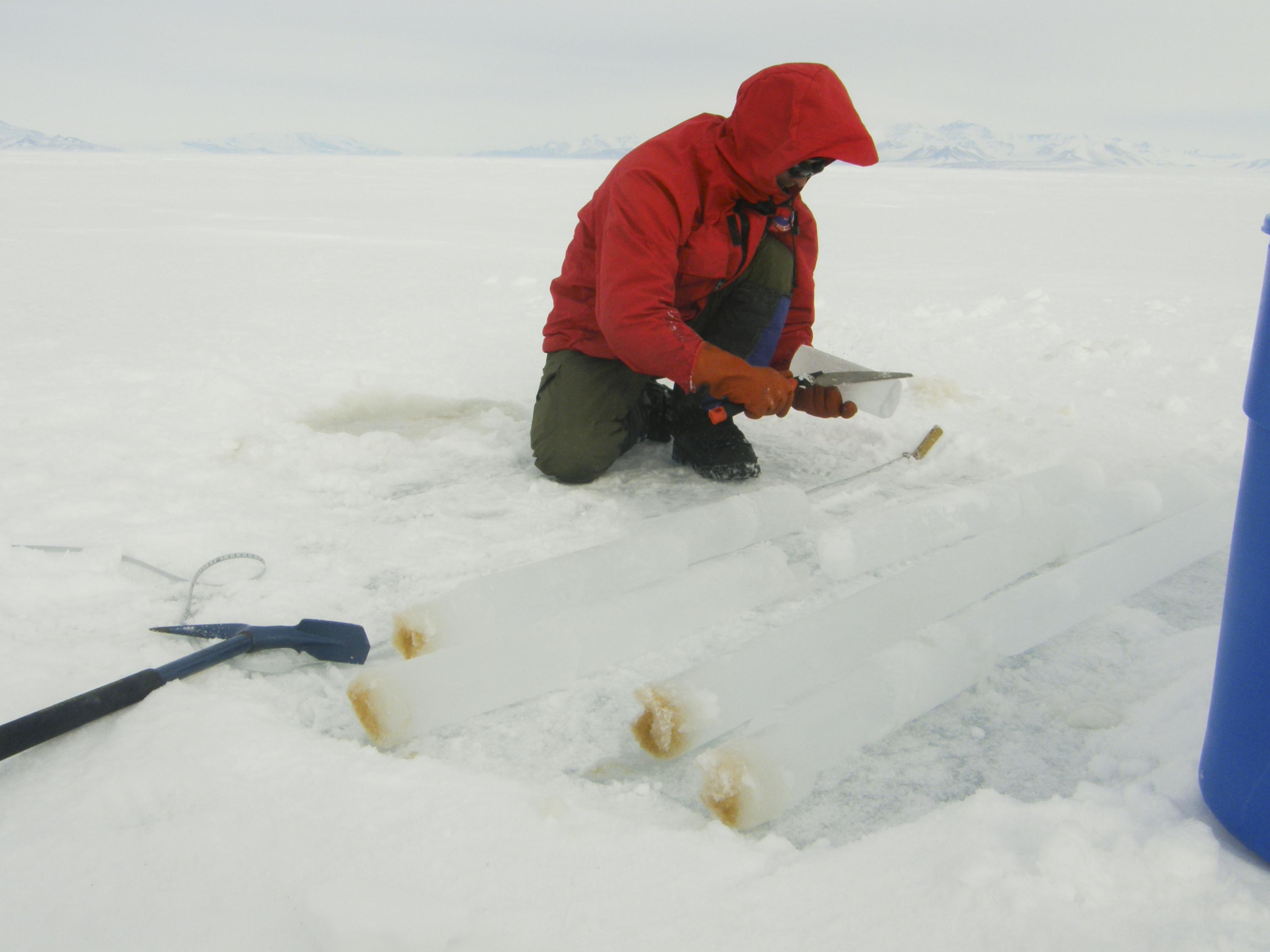 Jeff Bowman of Scripps in Antarctica