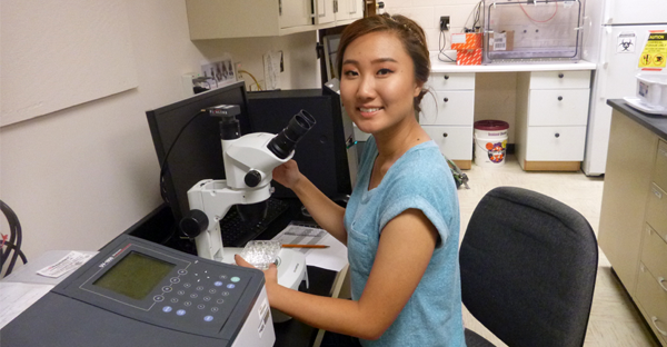  2016 Fast-Track scholar Nancy Park working in lab.