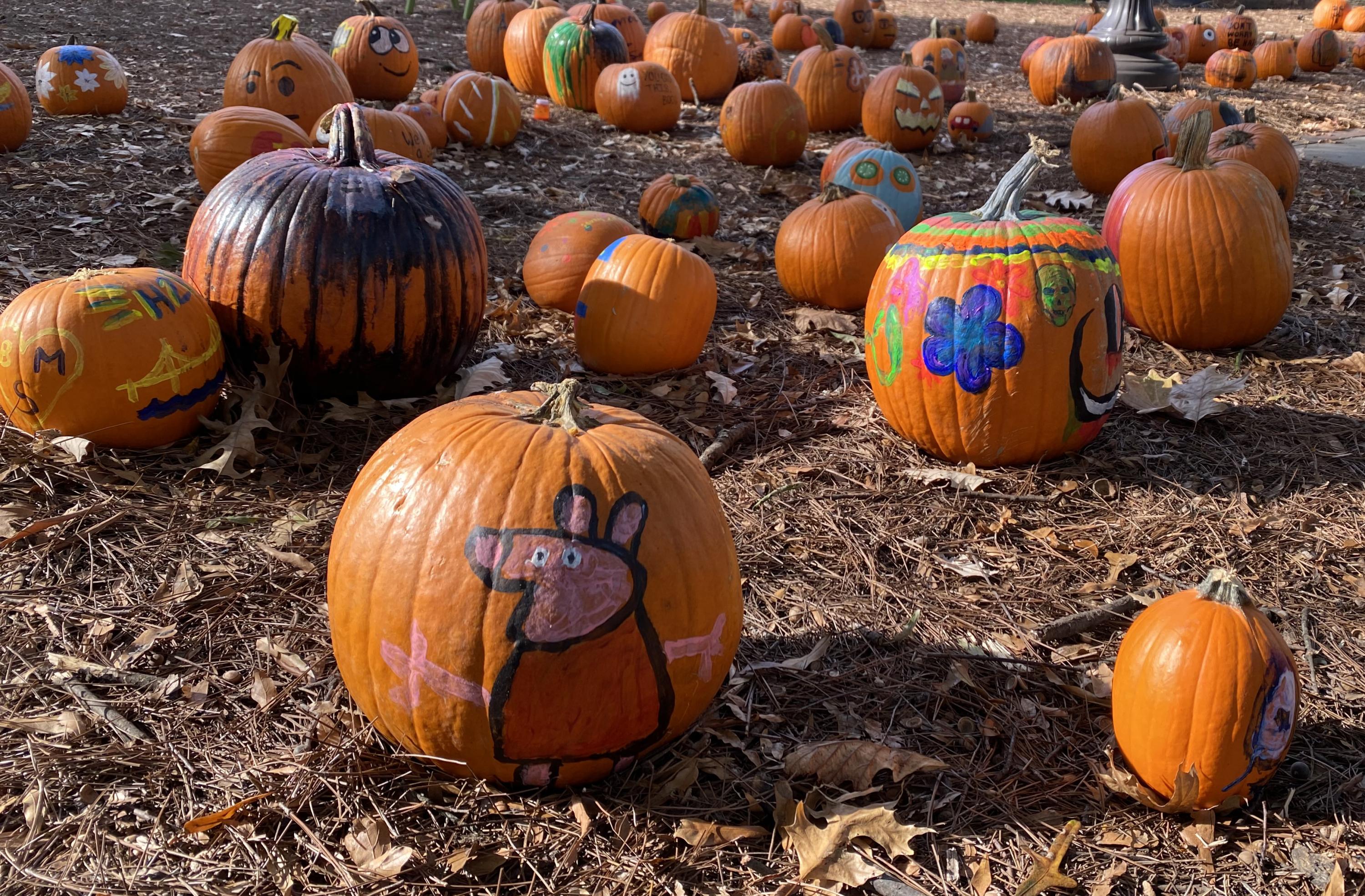 Enjoying Halloween on Campus College of Sciences Institute