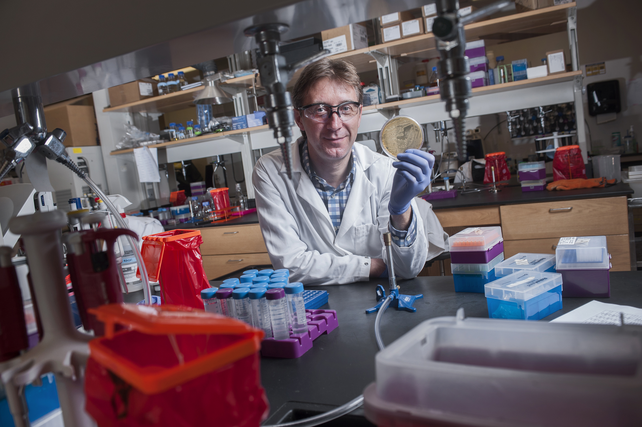 Sam Brown, associate professor, bacterial virulence and evolution