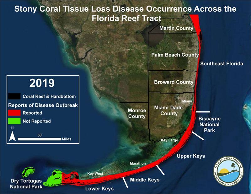  Stony Coral Tissue Loss Disease Map Courtesy of the Florida Department of Environmental Protection