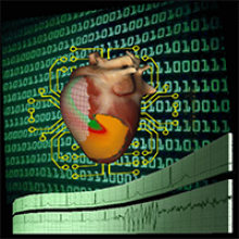 Diagnosing the heart (Courtesy of Flavio Fenton) Diagnosing the heart (Courtesy of Flavio Fenton)