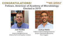 Kostka, Weitz: Fellows of the American Academy of Microbiology Kostka, Weitz: Fellows of the American Academy of Microbiology
