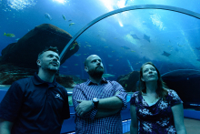Aquarium Aquarium
