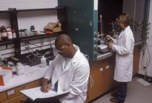 In the lab In the lab
