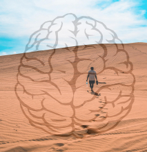Illustration for dehydration and the brain Illustration for dehydration and the brain
