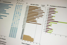 Chart of E. coli infections Chart of E. coli infections