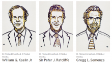 Winners of 2019 Nobel Prize in Physiology or Medicine (Credit: Nobel Media) Winners of 2019 Nobel Prize in Physiology or Medicine (Credit: Nobel Media)
