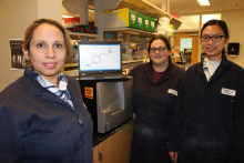 Pamela Peralta-Yahya with Ph.D. student Emily Yasi and research associate Widianti Sugianto (Photo by Renay San Miguel) Pamela Peralta-Yahya with Ph.D. student Emily Yasi and research associate Widianti Sugianto (Photo by Renay San Miguel)