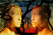 Understanding autobiographical memories Understanding autobiographical memories