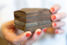 Tiger eye BIF rock Tiger eye BIF rock