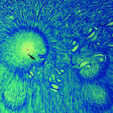 Water strider (Credit David Hu) Water strider (Credit David Hu)