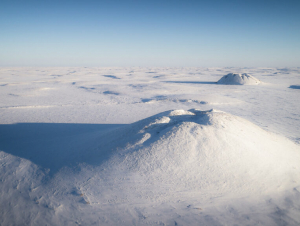 A representative photo of ice-cored pingos, emerging from the permafrost and dotting the arctic landscape near Tuktoyaktuk, in the Northwest Territories of Canada. Credit: Matt Jacques, Monte Cristo Magazine
