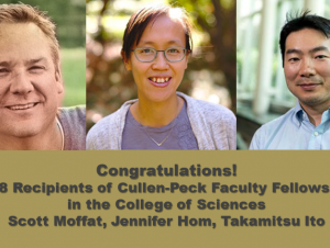 2018 Cullen-Peck Fellows