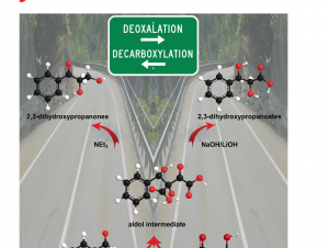 The Journal of Organic Chemistry, December 2018 cover (Courtesy ACS Publications)