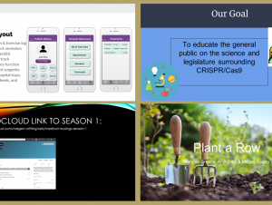 Health, Genes and Society: Sample of Spring 2018 Projects