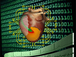 Diagnosing the heart (Courtesy of Flavio Fenton)