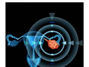 Journal of Proteome Research August 2019 Cover (Credit ACS Publications)