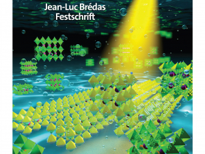 Jean-Luc Brédas Festschrift