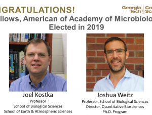 Kostka, Weitz: Fellows of the American Academy of Microbiology