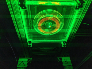 The researchers' experiment featured transparent walls to allow full visual access, and used a state-of-the-art flow visualization. (Photo: Michael Schatz)