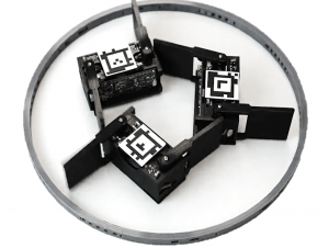 Swarm of smarticles