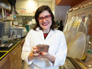 Jennifer Glass in her lab at Georgia Tech. She is holding a stromatolitic ironstone full of iron that rusted out of early oceans. An eon ago, oceans appear to have been full of ferrous iron, which would have facilitated production of N2O (laughing gas).