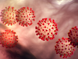 Coronavirus Disease 2019 (COVID-19). Source: cdc.gov