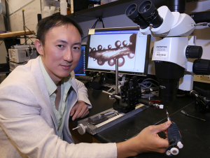 David Hu, professor in the School of Biological Sciences 