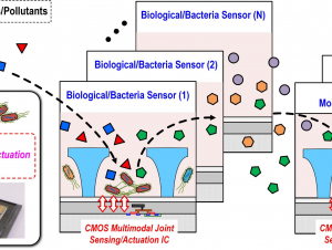 SemiSynBio-II: A Hybrid Programmable Nano-Bioelectronic System