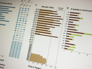 Chart of E. coli infections