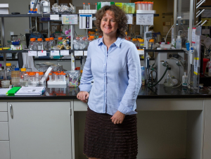 Francesca Storici, professor in the School of Biological Sciences and a researcher in the Petit Institute of Bioengineering and Bioscience at Georgia Tech