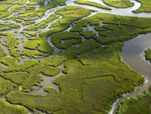 Photo: Georgia Climate Project