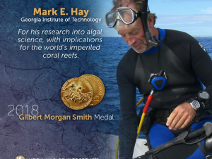 Mark Hay, Recipient of 2018 Gilbert Morgan Smith Medal (Courtesy of National Academy of Sciences)