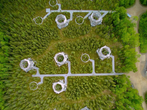 Yurt-like test chambers in a natural boreal spruce bog in northern Minnesota (provided).