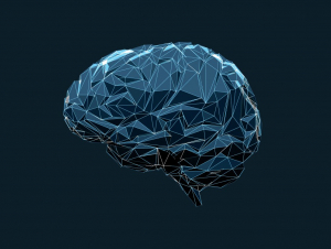 Brain illustration (iStock)