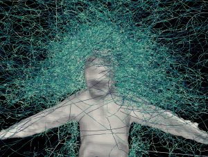 Trajectories of mosquitoes flying around a human target. David L. Hu, Georgia Tech