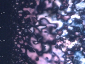 Tiny helices emerge during a phase separation process, offering clues about how life's building blocks may have first developed a preference for one 'handed' form over another. (Credit: Jong-Hoon Lee, Ziming Wang, Ying Diao)