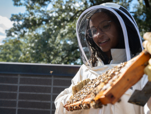 Georgia Tech's Janelle Dunlap conducts a hive inspection at the The Kendeda Building for Innovative Sustainable Design. 