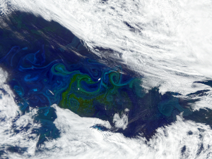 A satellite image of blooming phytoplankton, visible as green-tinted swirls, in the South Atlantic. Credit: NASA Credit: NASA (OCI sensor aboard PACE on January 5, 2025)