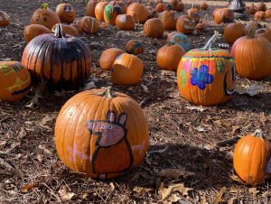 SMILE's Positivity Pumpkins