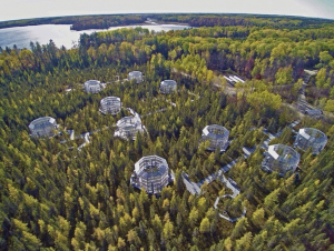 An aerial photo of the SPRUCE experiment.